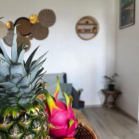 Cocon Des Alizes Apartment La Moise Екстериор снимка
